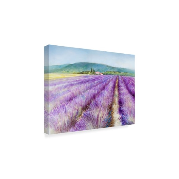 Li Bo 'Lavender 3' Canvas Art,18x24